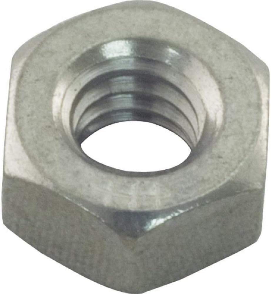 IntelliFloVSF/WhisperFlo VST Pump Nut 1/4-20 Hex Stainless Steel | 071406