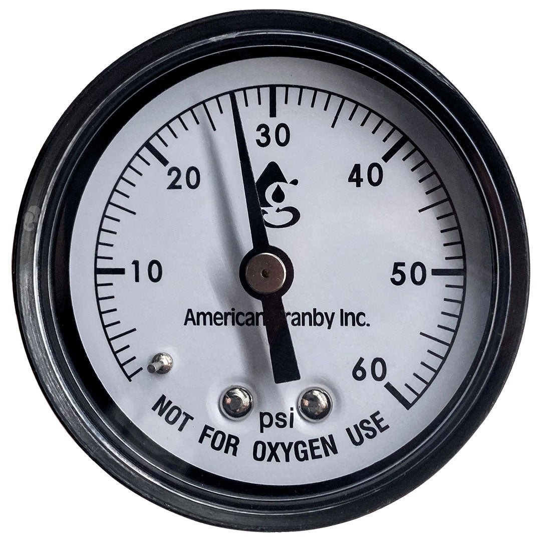 Pentair Style 2 System Pressure Test Kit | 230040