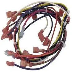 Pentair Wire Harness, Main (All Single Phase Models) || 475112