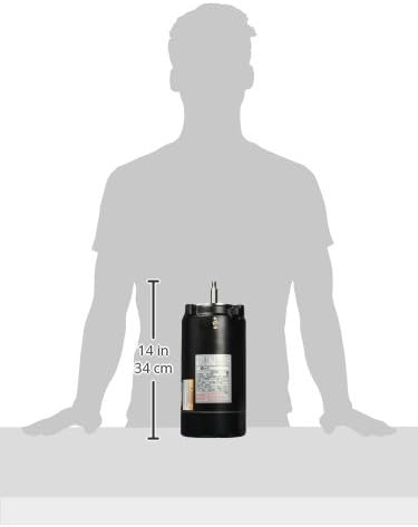 Century ODP threaded pool filter motor, black cylindrical unit shown with 14 in height reference