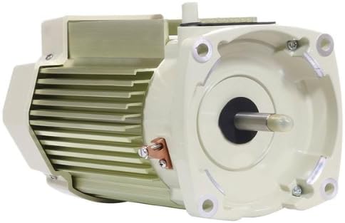 Pentair WhisperFlo VST/SuperFlo VST Motor without Drive | 356286S