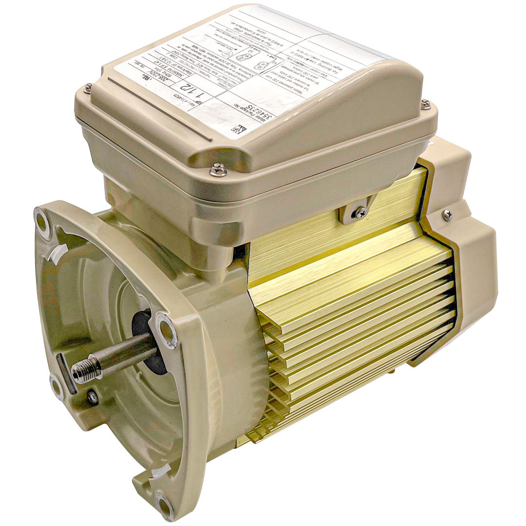 Pentair 1.5HP Motor 1-Phase TEFC || 354823S