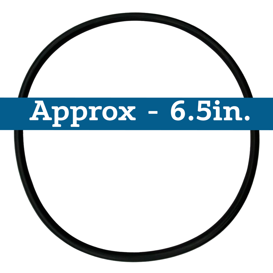 IntelliFloXF/WhisperFloXF VSF/VS Pump Lid/Locking Ring O-Ring Assembly | 35505-1440