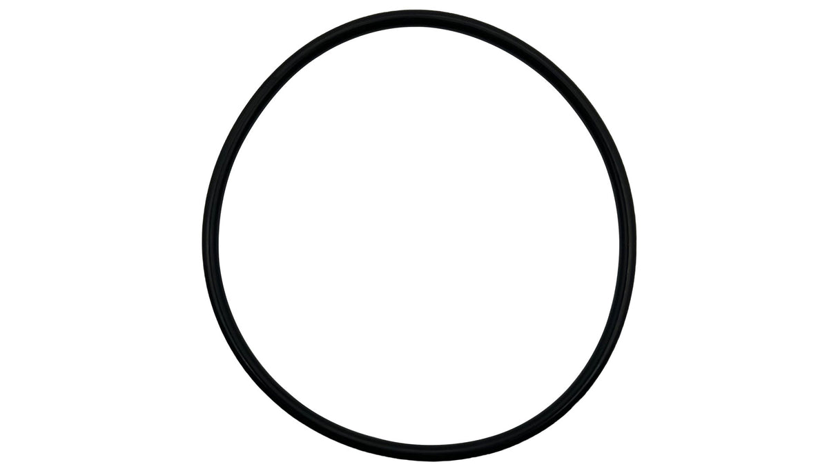 IntelliFloVSF/WhisperFlo VST Pump Diffuser O-Ring || 355227Z