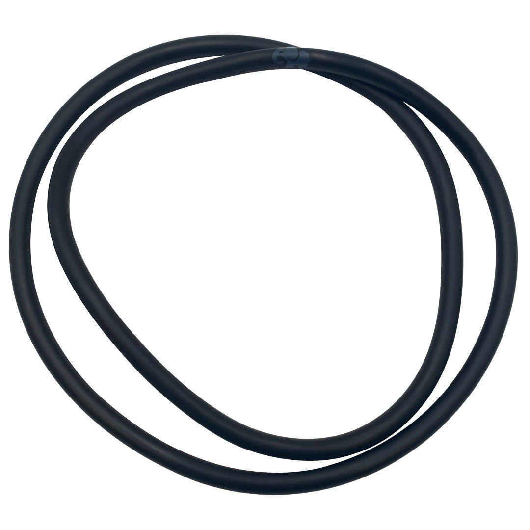 Pentair Clean and Clear Plus and FNS Tank O-Ring | 39010200Z