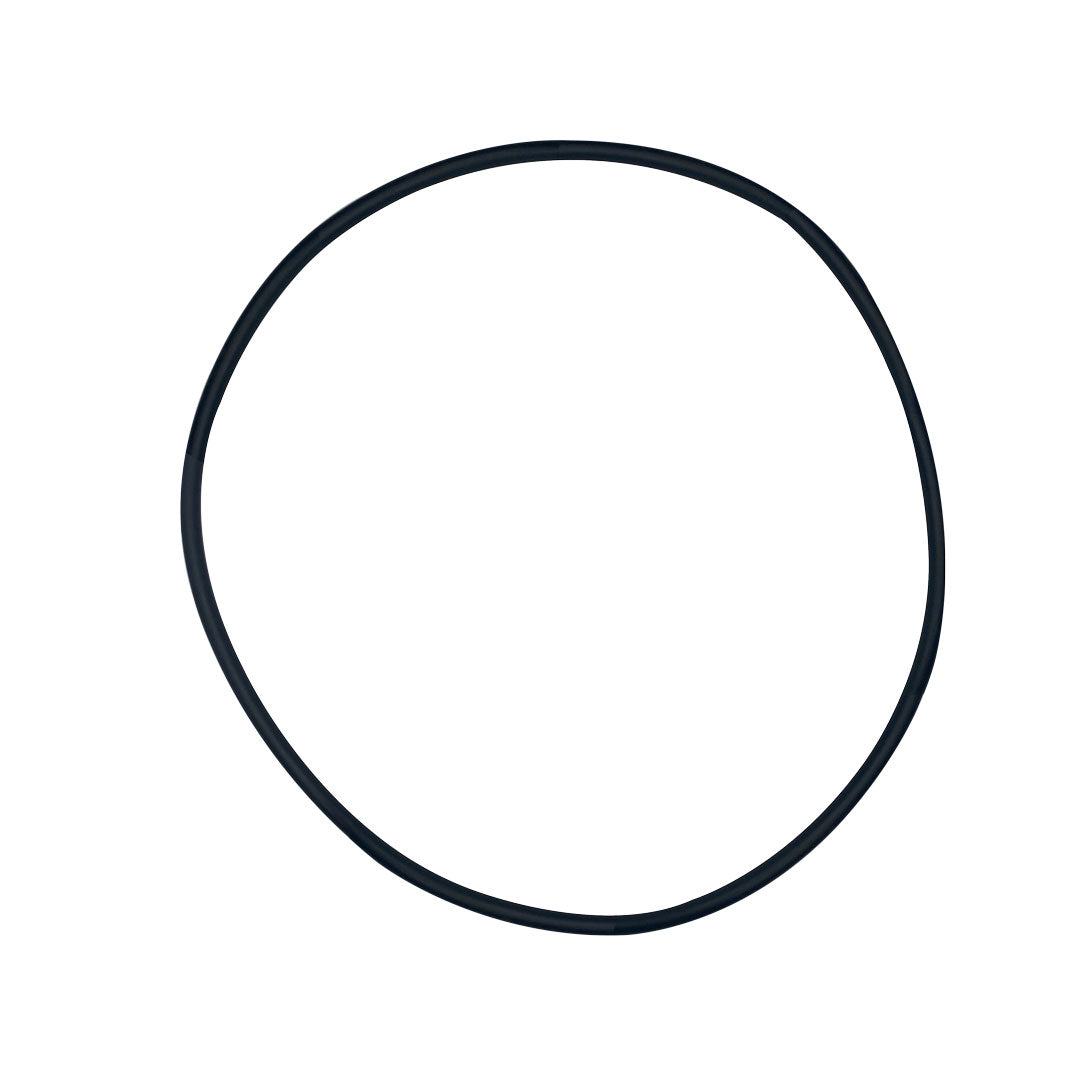 Pentair Clean and Clear Plus and FNS Tank O-Ring | 39010200Z