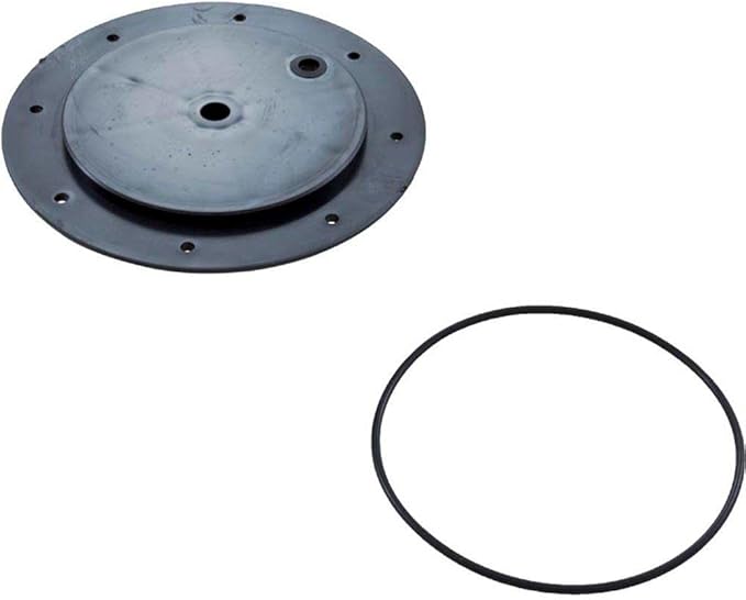 Pentair MagicStream Laminar Orifice Kit || 590032