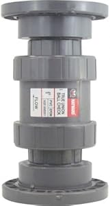 Hayward 6" PVC True Union Flanged Ball Check Valve || TC1600FE