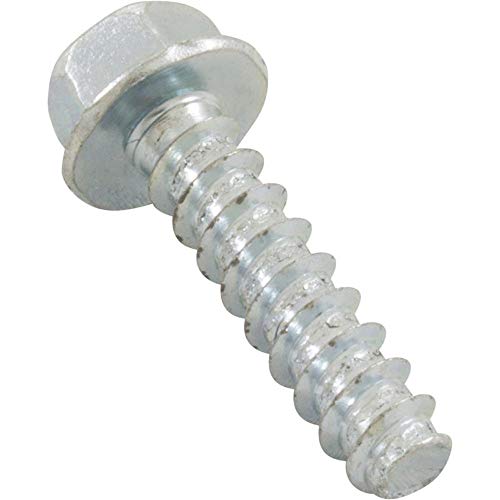 Hayward Super II Mounting Foot Cap Screw (2) || SPX1600Z52
