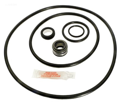 Aladdin Sta-Rite P2R / P2RA Pump Seal & O-Ring Kit | GO-KIT6-9