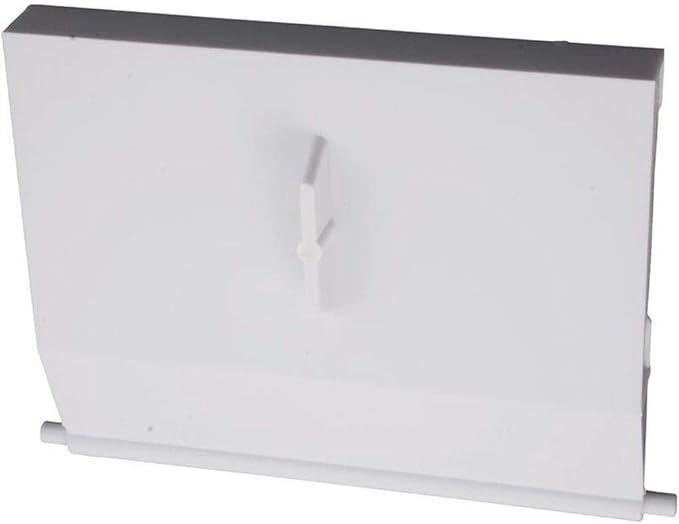 Pentair HydroSkim Skimmers Weir Door || 513352