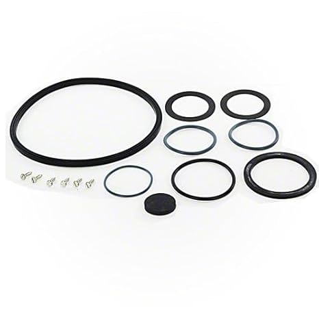 Jandy JS Series Sand Filter O-Ring and Hardware kit || R0488500