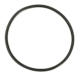 Waterway O-Ring #439 BN50 – SVL/Mstng Pool Pump Lid (Bag) | 805-0439B