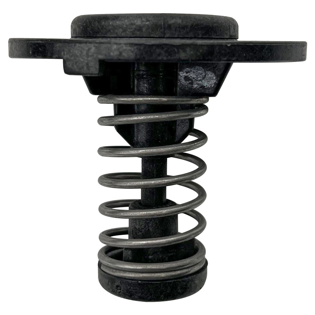 Pentair Pro Service Package- Heaters Water System Parts | 461102