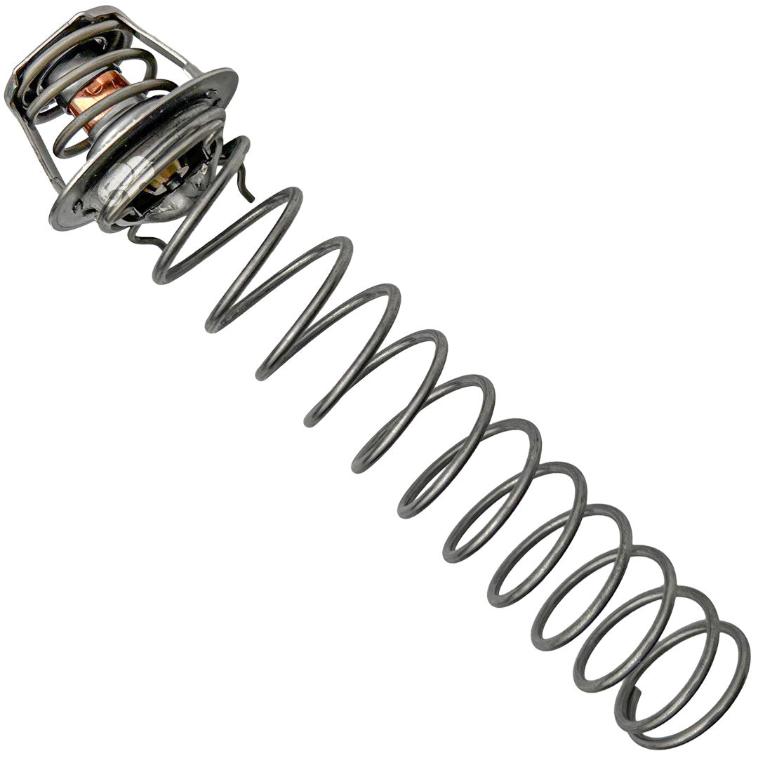 Pentair Pro Service Package- Heaters Water System Parts | 461102