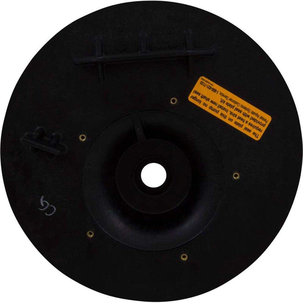 Pentair Max-E-Pro Pump Seal Plate Kit || C203-194P