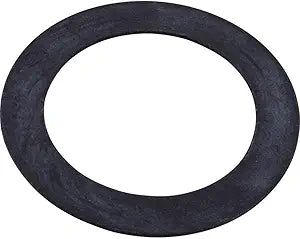 Pentair Vinyl Wall Fittings Gasket || 552406Z