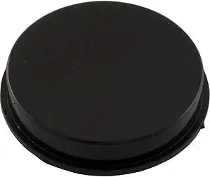 Pentair Plug Black | R172225X