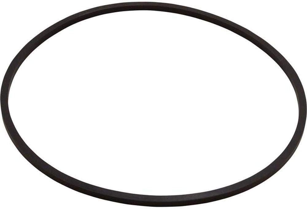 Pentair Max-E-Pro Pump Seal Plate Kit || C203-194P