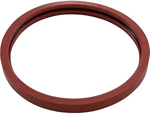 Pentair IntelliBrite Gasket || 620400Z