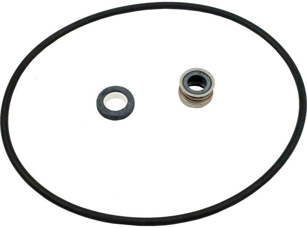 Pentair Max-E-Pro Pump Seal Plate Kit || C203-194P