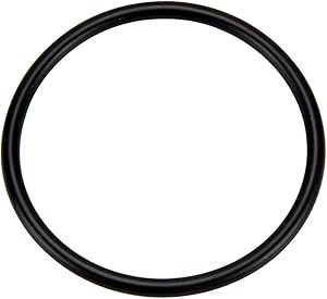 Pentair O-Ring #2‑227 Cap | 273062