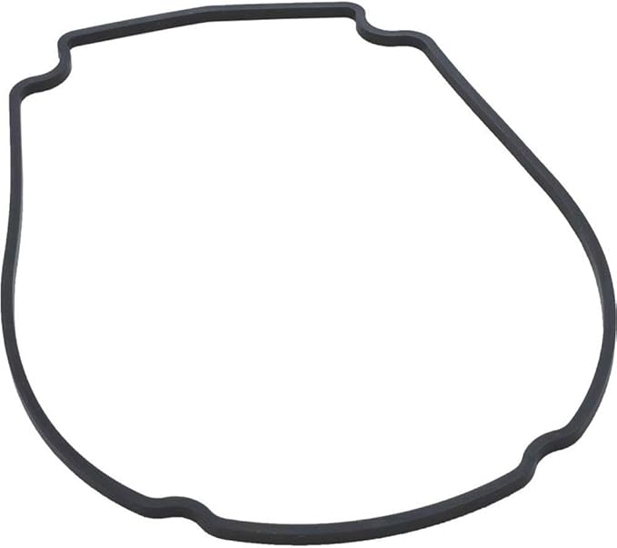 Faceplate Gasket for Mini SVL Champion | 806-1400