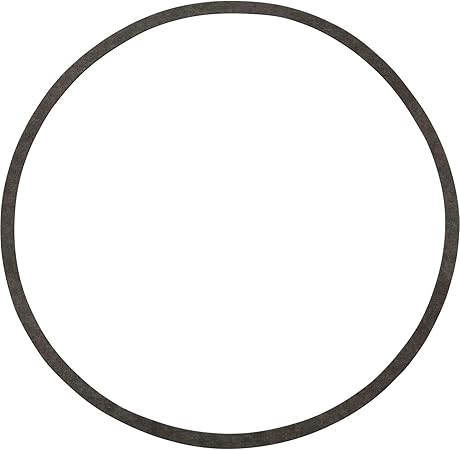 Sta-Rite (N20-39) Pump Gasket || G-52-Bagged
