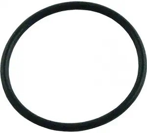 Hayward IN-LINE Filter O-Ring | AX5010G19