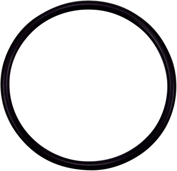 WaterFall Specialty Pump O-Ring, Strainer Pot Flange || 355330