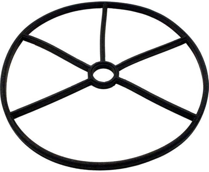 Black Pentair valve seat spider gasket with circular outer ring and reinforced spokes