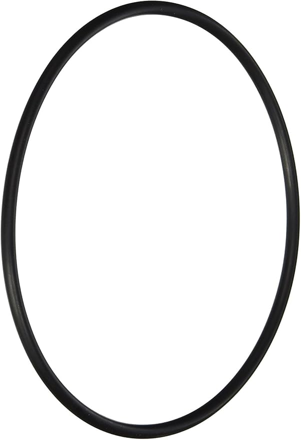 Hayward (AXW541) Leaf Canister O-Ring | O-330-BAGGED