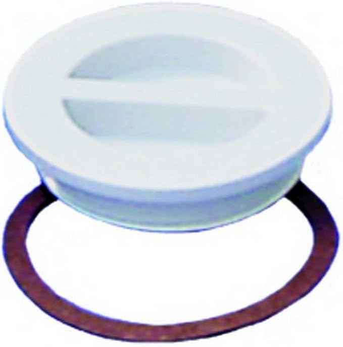 Plug with Gasket | SP1022B