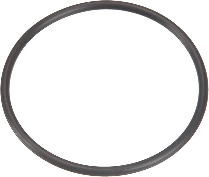 IntelliPro VS Pump O-Ring #2 || U9-362