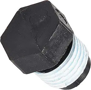 Pentair Pipe Plug .25" || WC78-40T
