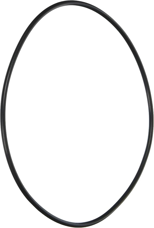 Pentair Booster Pump O-Ring for Seal Bracket || LA415