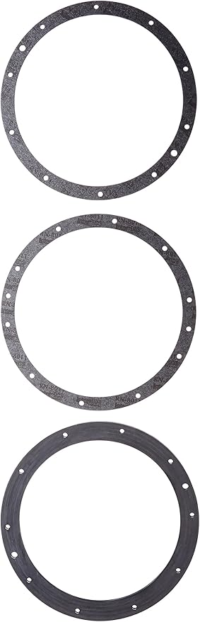 Pentair Gasket Set, Standard 10 Hole Pattern, w/ Double Wall Gasket || 79200700