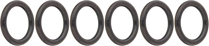 Pentair Coil/Tubesheet Sealing O-Ring Kit (Models 250NA, 250LP) || 460749