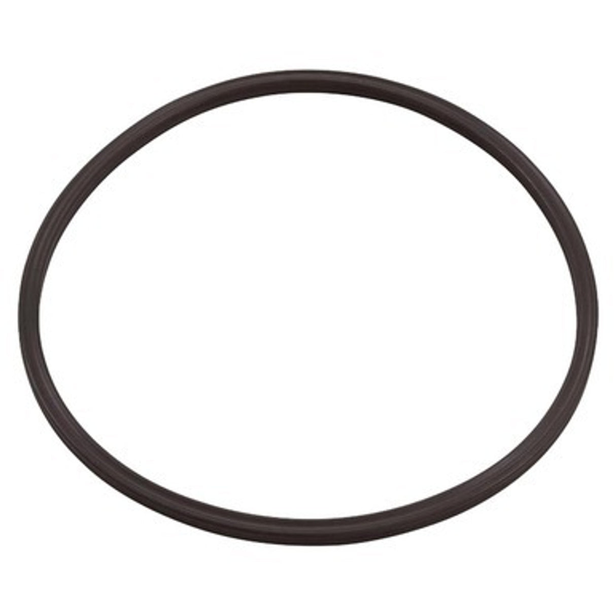 Paramount® Clear Canister Lid O-Ring | 005-152-0120-00