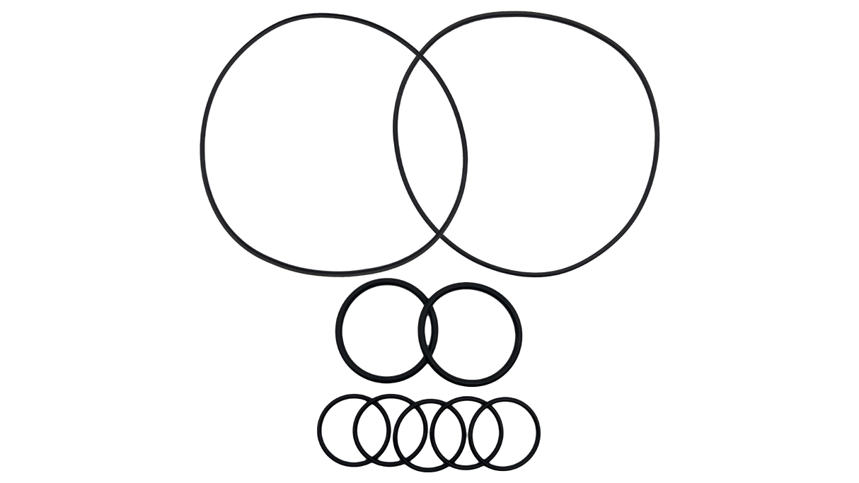 Caretaker (5-13-1) O-Ring Kit || O-516KIT