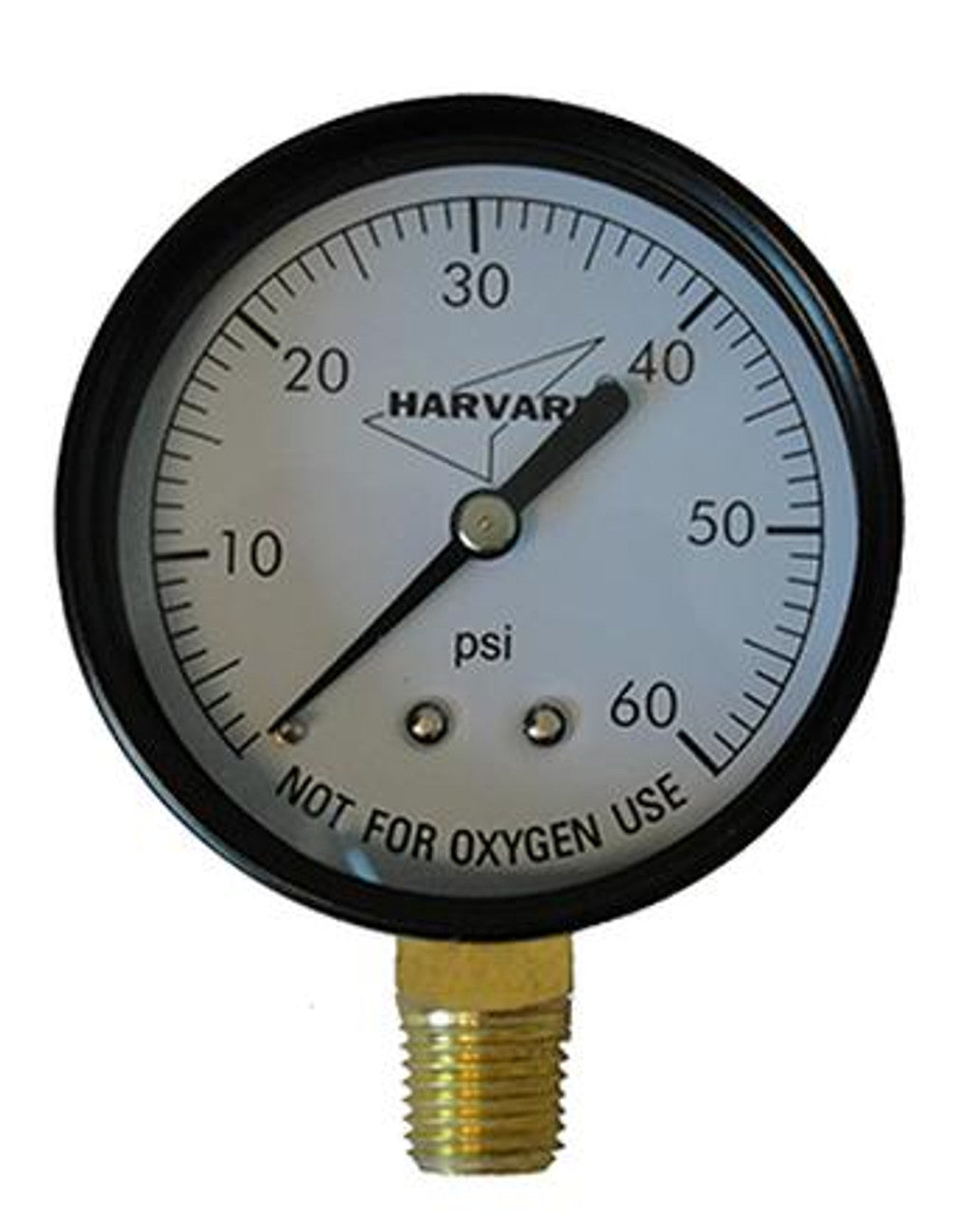 Plastic Pressure Gauge – 60 PSI, 2" Dial, 1/4" Back Mount | IPPG602-4B