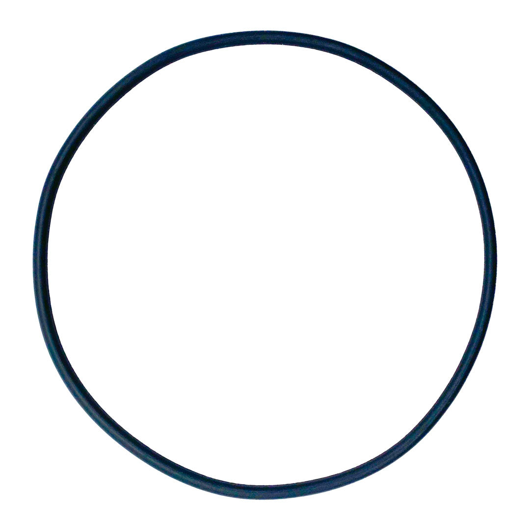 Hayward S-200 filter tank O-ring gasket, black rubber seal on white background