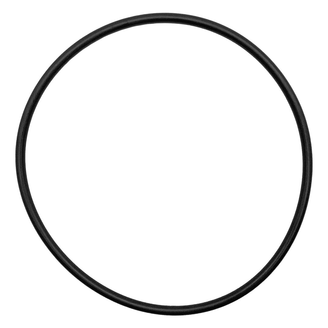 Jandy (R0446200) Lid O-Ring | O-142-BAGGED