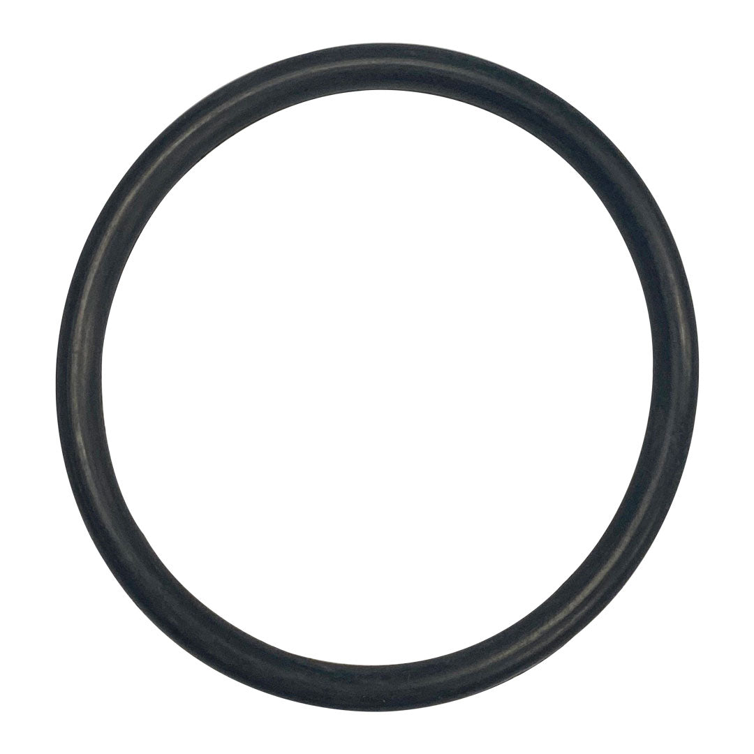 Pentair (274495) TR100C & TR140C Filter Valve Body to Lid O-Ring | O-179-BAGGED