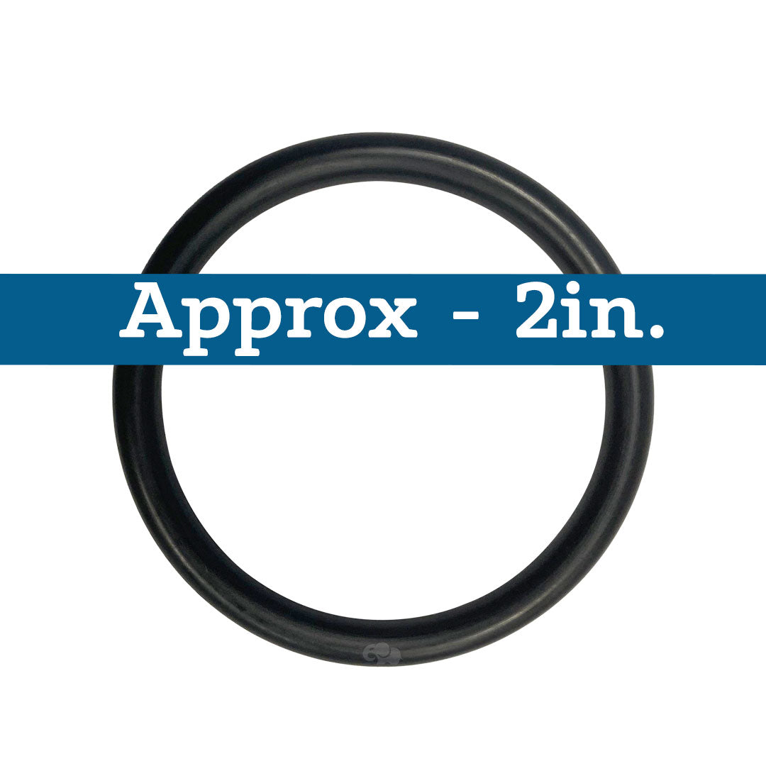 Black rubber piston O-ring, approximately 2 inches in diameter