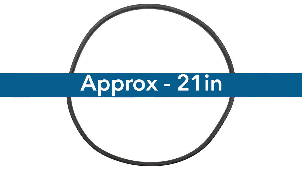 O-205-Bagged Gasket - Aladdin