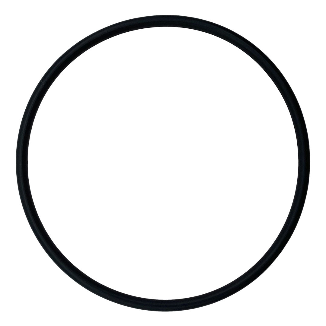 Jandy (6749) Cover O-Ring SSV | O-223-BAGGED