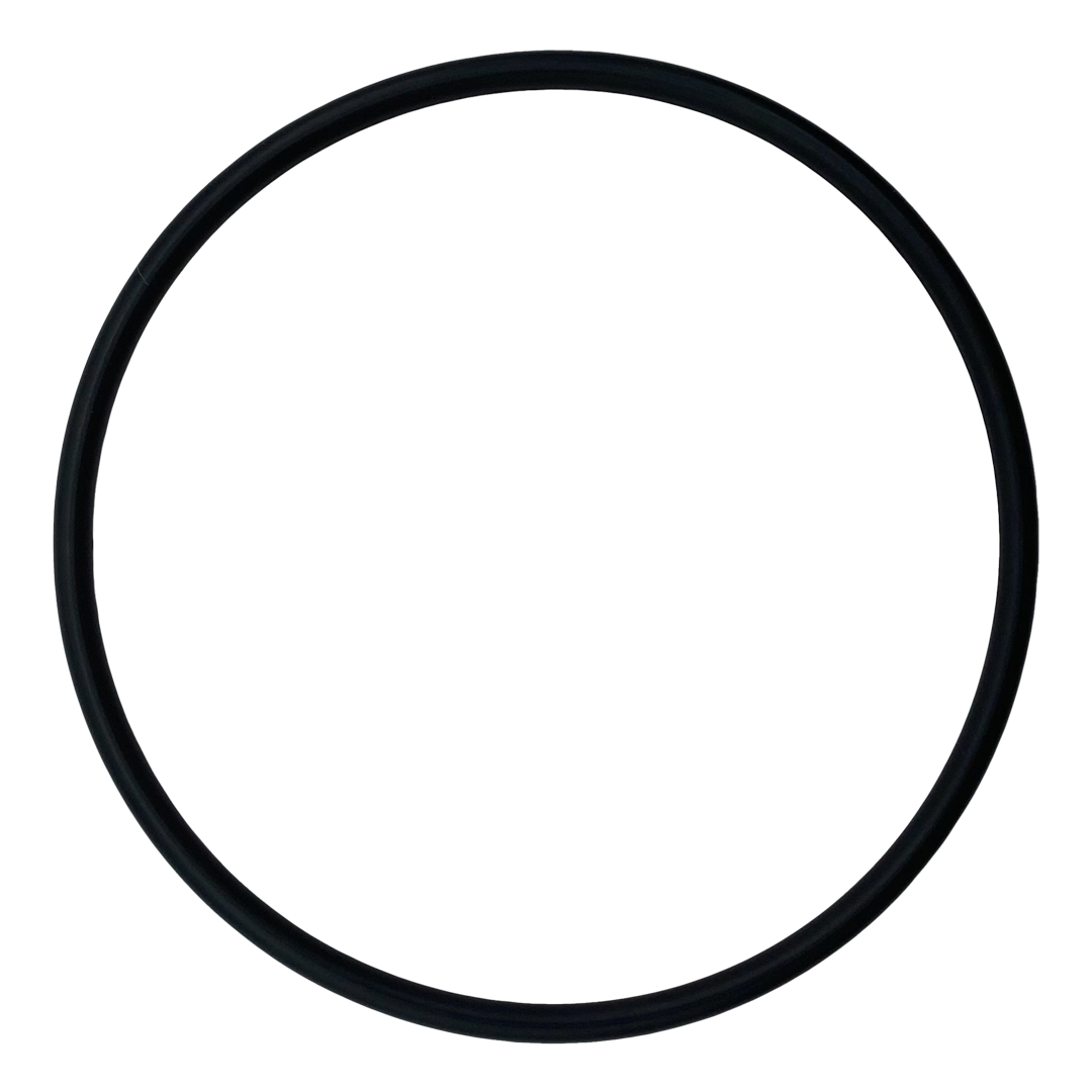Jandy (6749) Cover O-Ring SSV | O-223-BAGGED