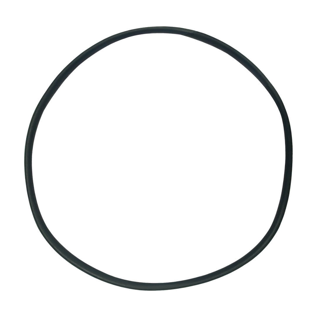 Hayward (SPX4000T) Seal Plate O-Ring NorthStar | O-239-BAGGED