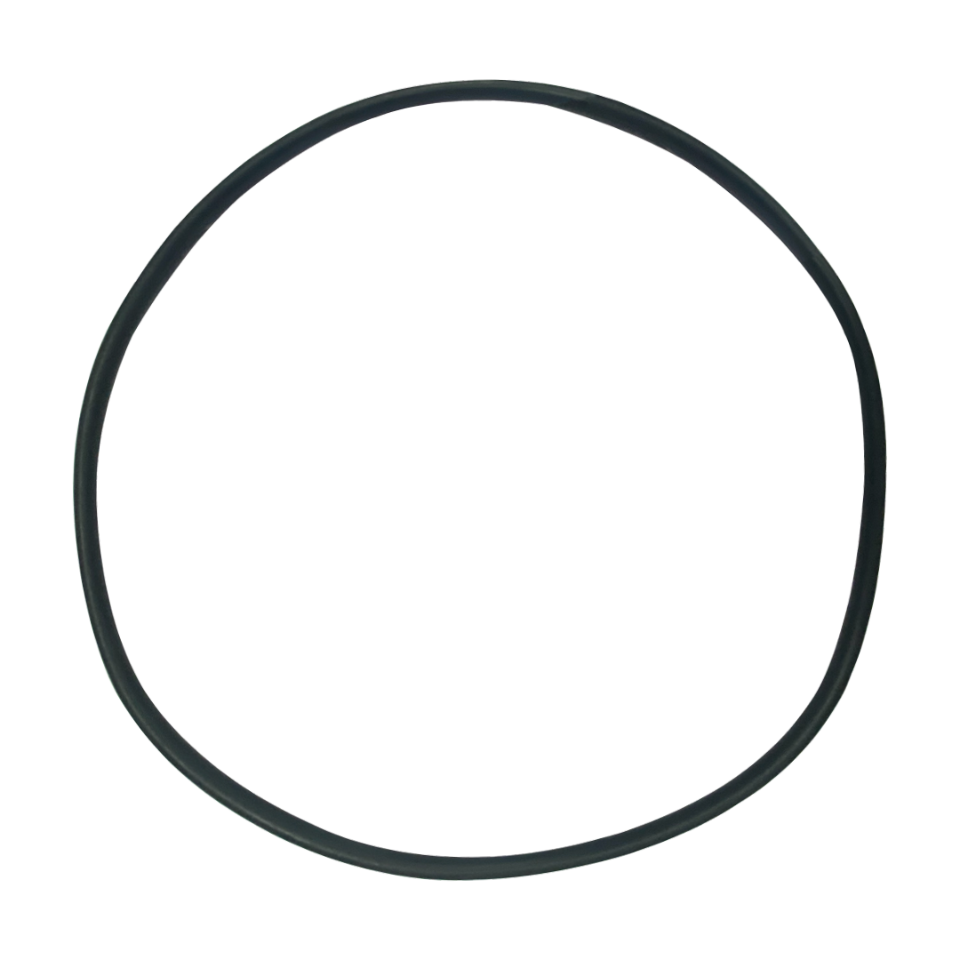 Hayward (SPX4000T) Seal Plate O-Ring NorthStar | O-239-BAGGED